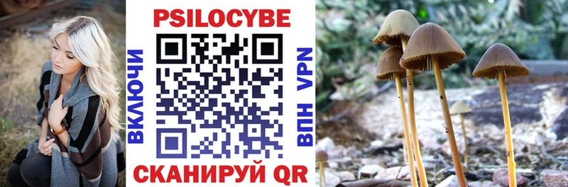 Галлюциногенные грибы GOLDEN TEACHER  hydra маркетплейс  Малаховка 